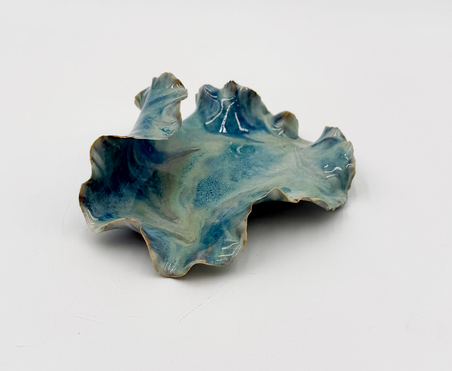 Tide Echo Dish