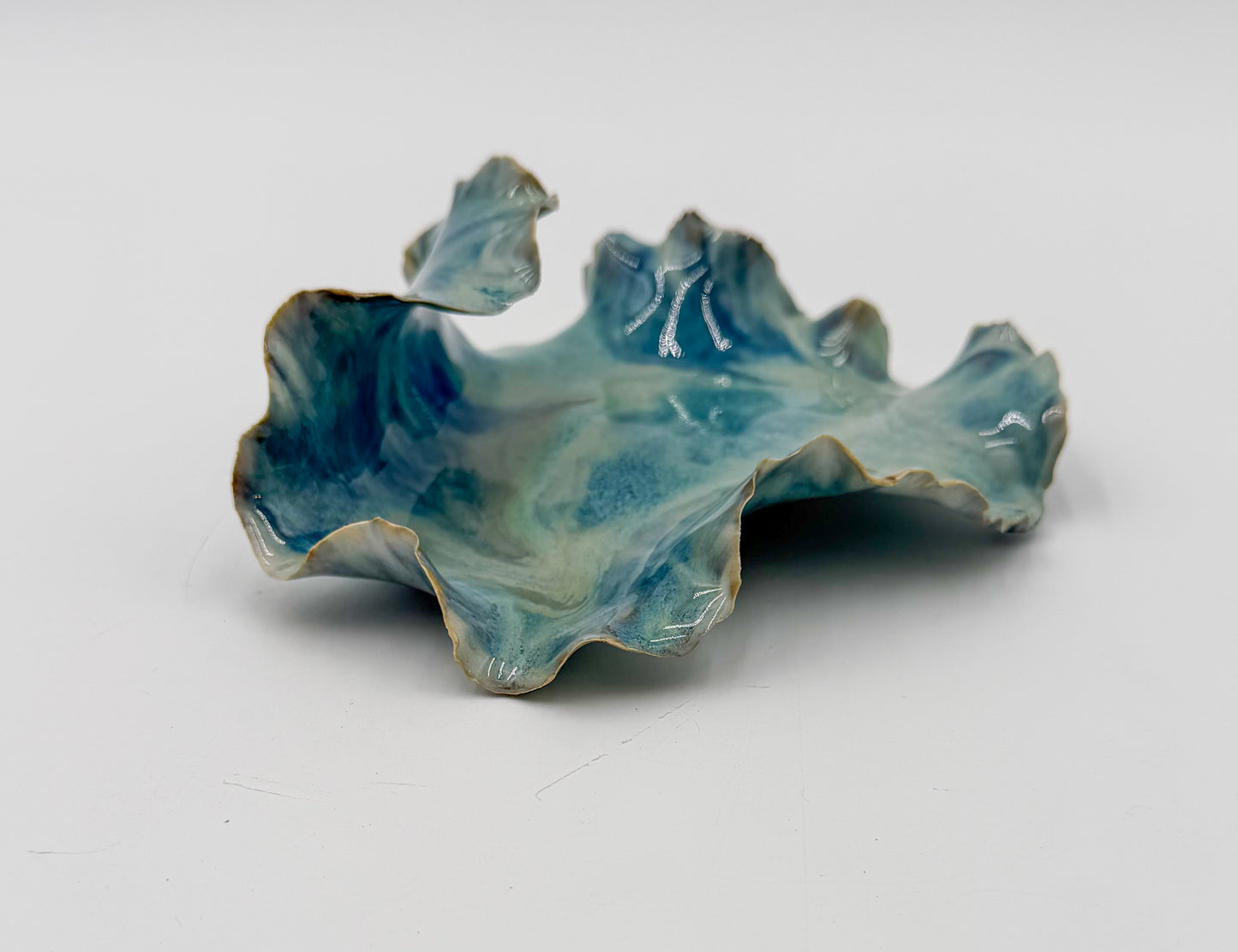Tide Echo Dish