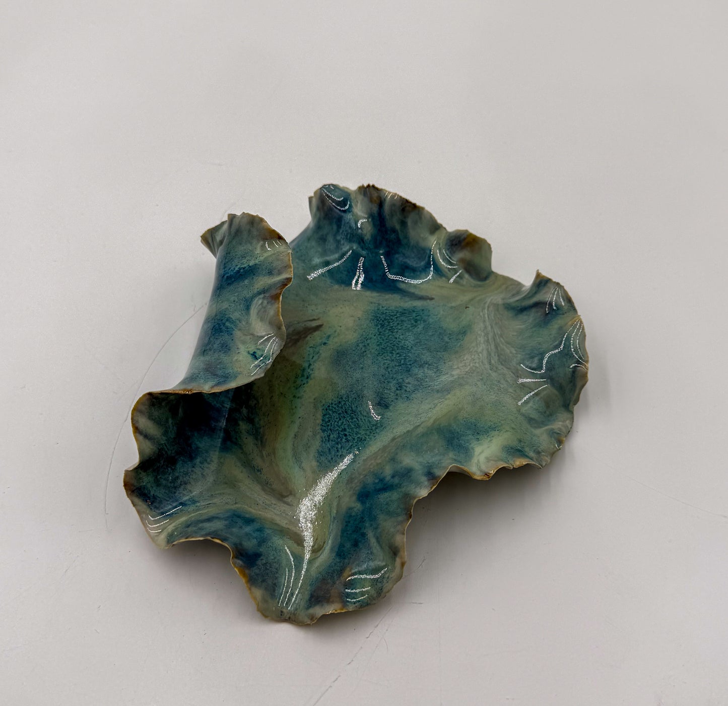 Tide Echo Dish