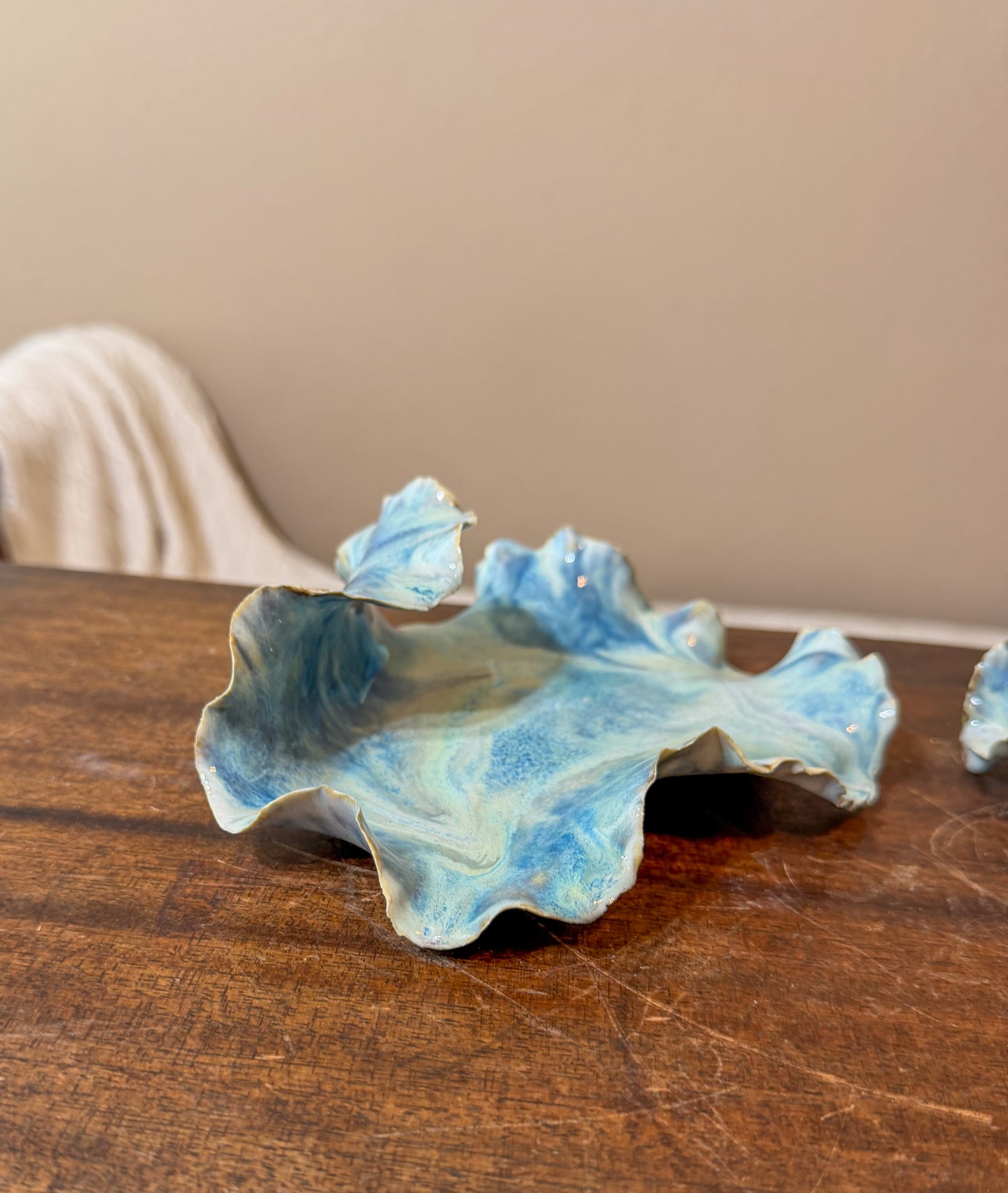 Tide Echo Dish