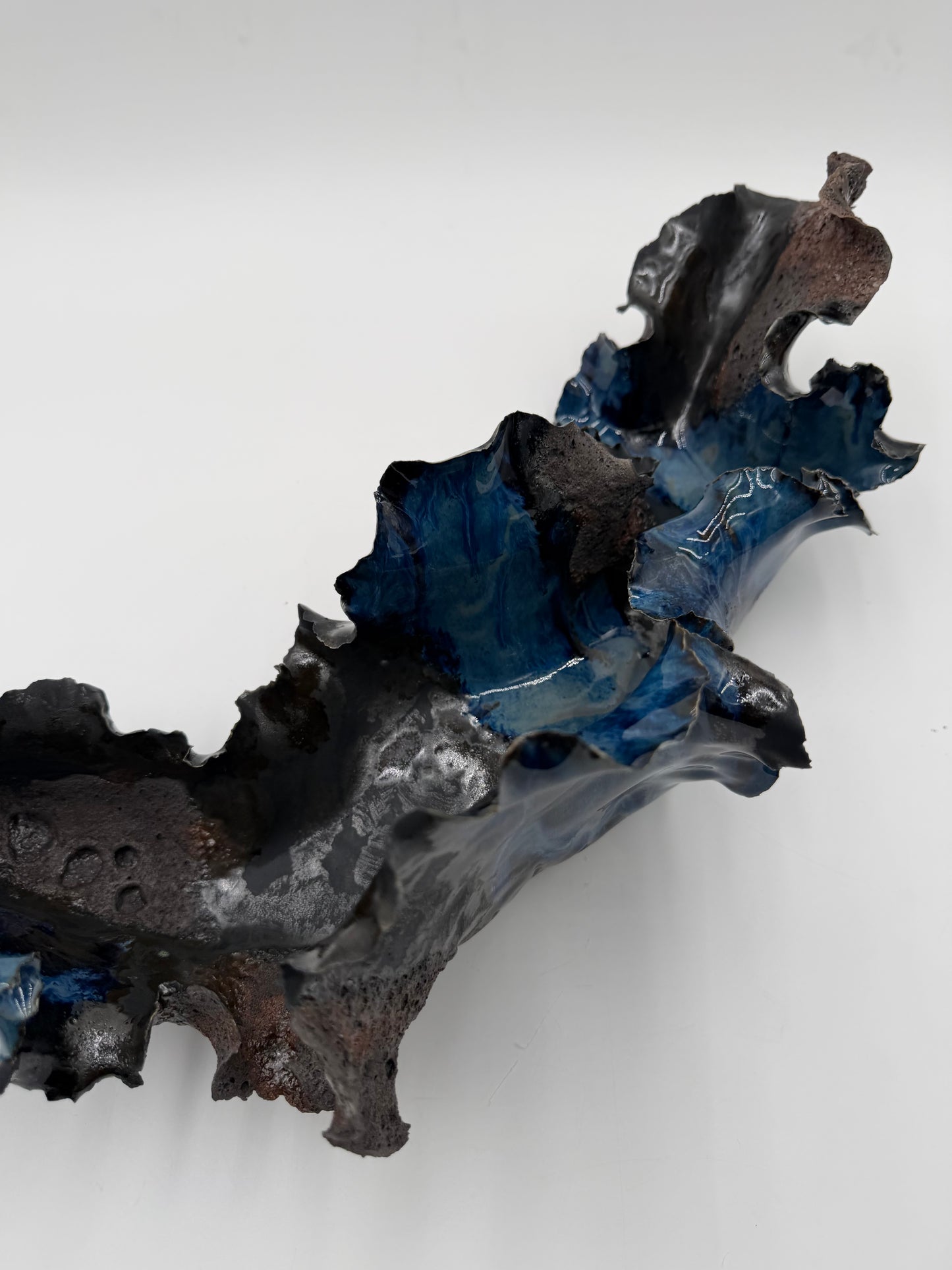 Midnight Reef/Porcelain Coral Sculpture - Midnight Series