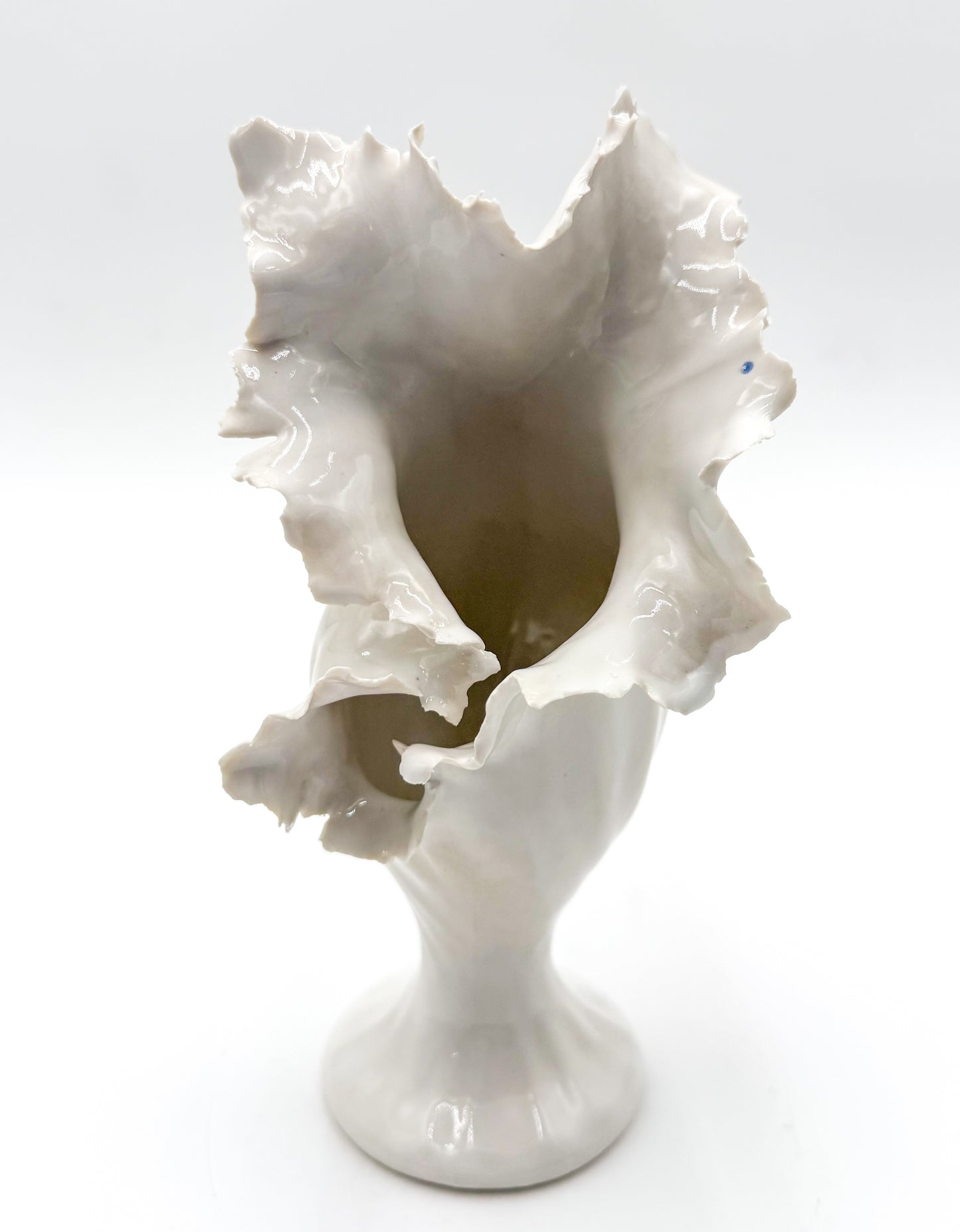 Wild Bloom