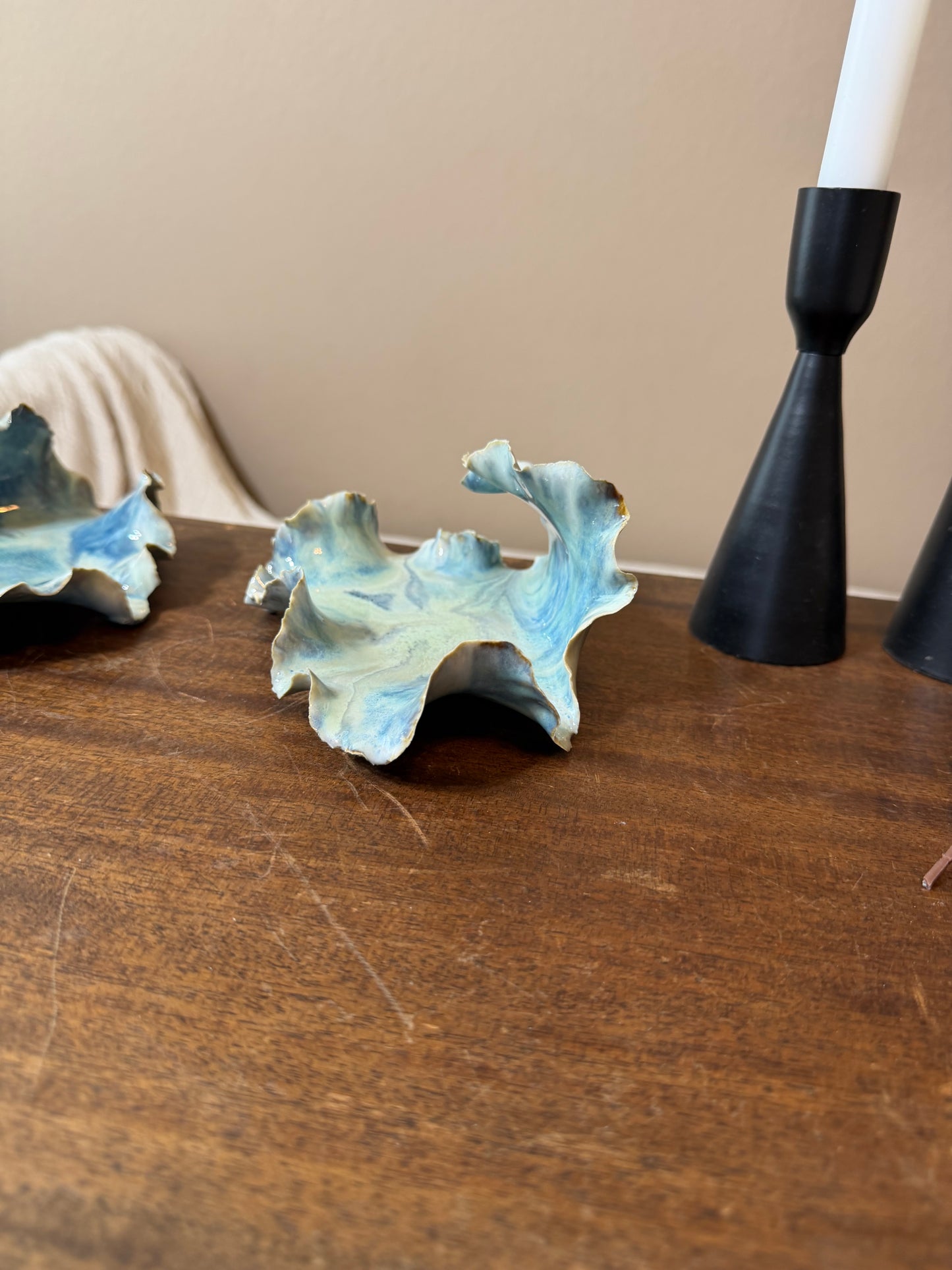 Tide Echo Dish