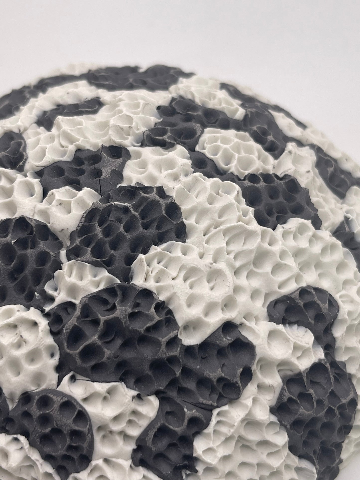 Coral Beach Sculpture