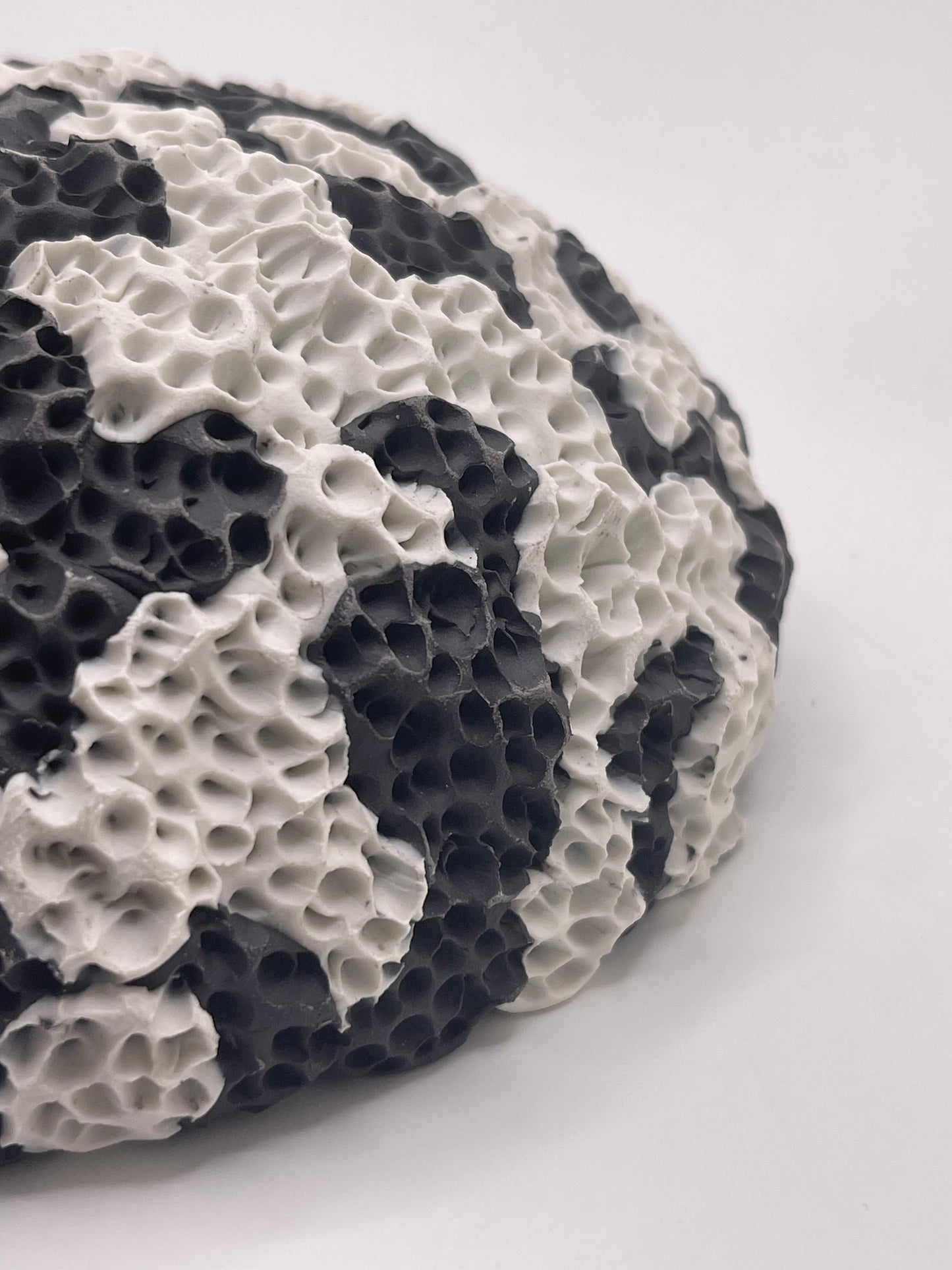 Coral Beach Sculpture