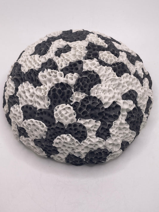 Coral Beach Sculpture