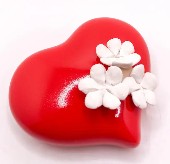 Mini Heart Garden