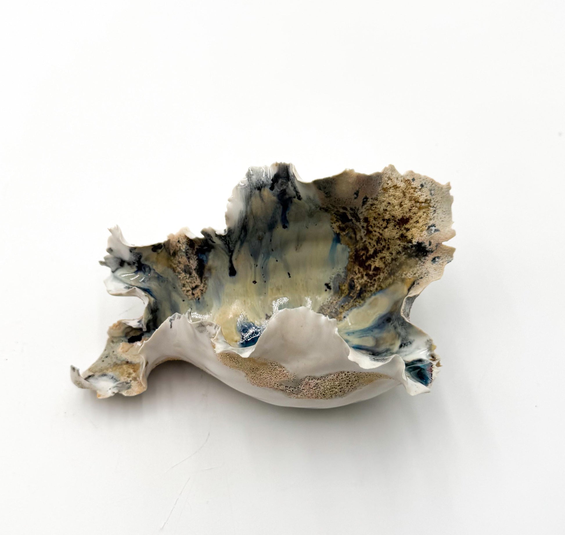 Calcified Current – Hand-Sculpted Porcelain Sculptural Bowl | One-of-a-Kind Ocean-Inspired Ceramic Art