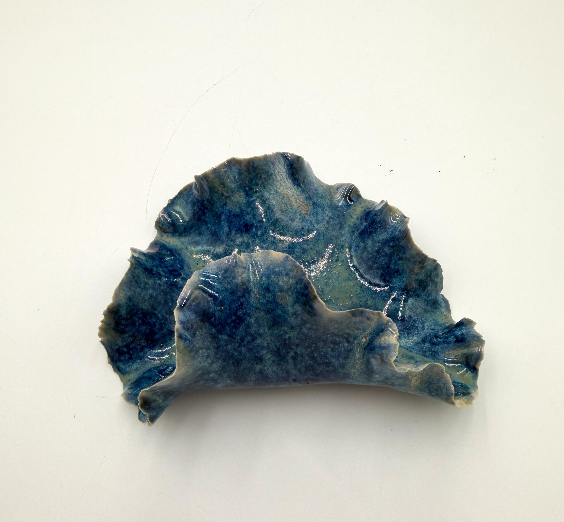 Tidal Echo Bowl - Porcelain Trinket Dish