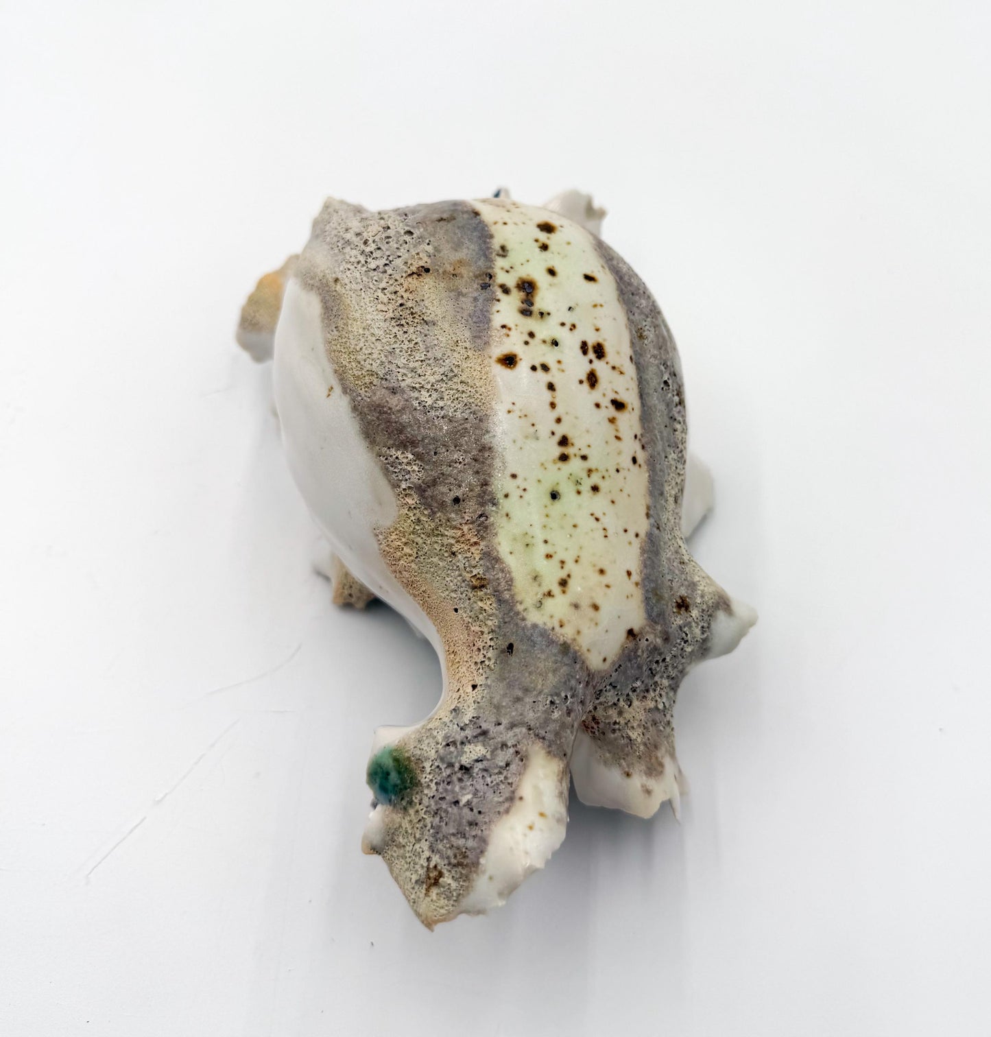 Calcified Current – Hand-Sculpted Porcelain Sculptural Bowl | One-of-a-Kind Ocean-Inspired Ceramic Art