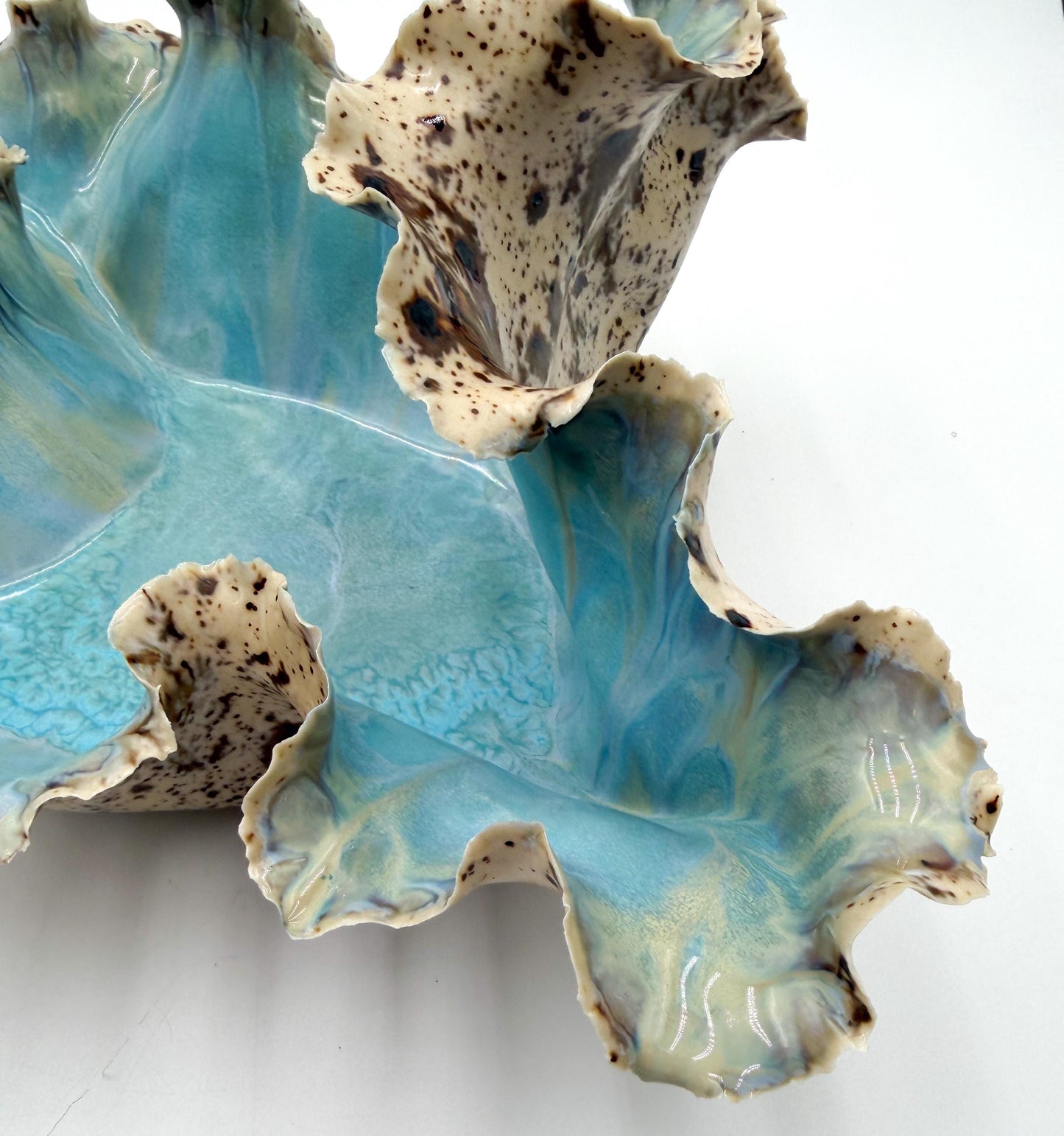 Tideglass Bloom