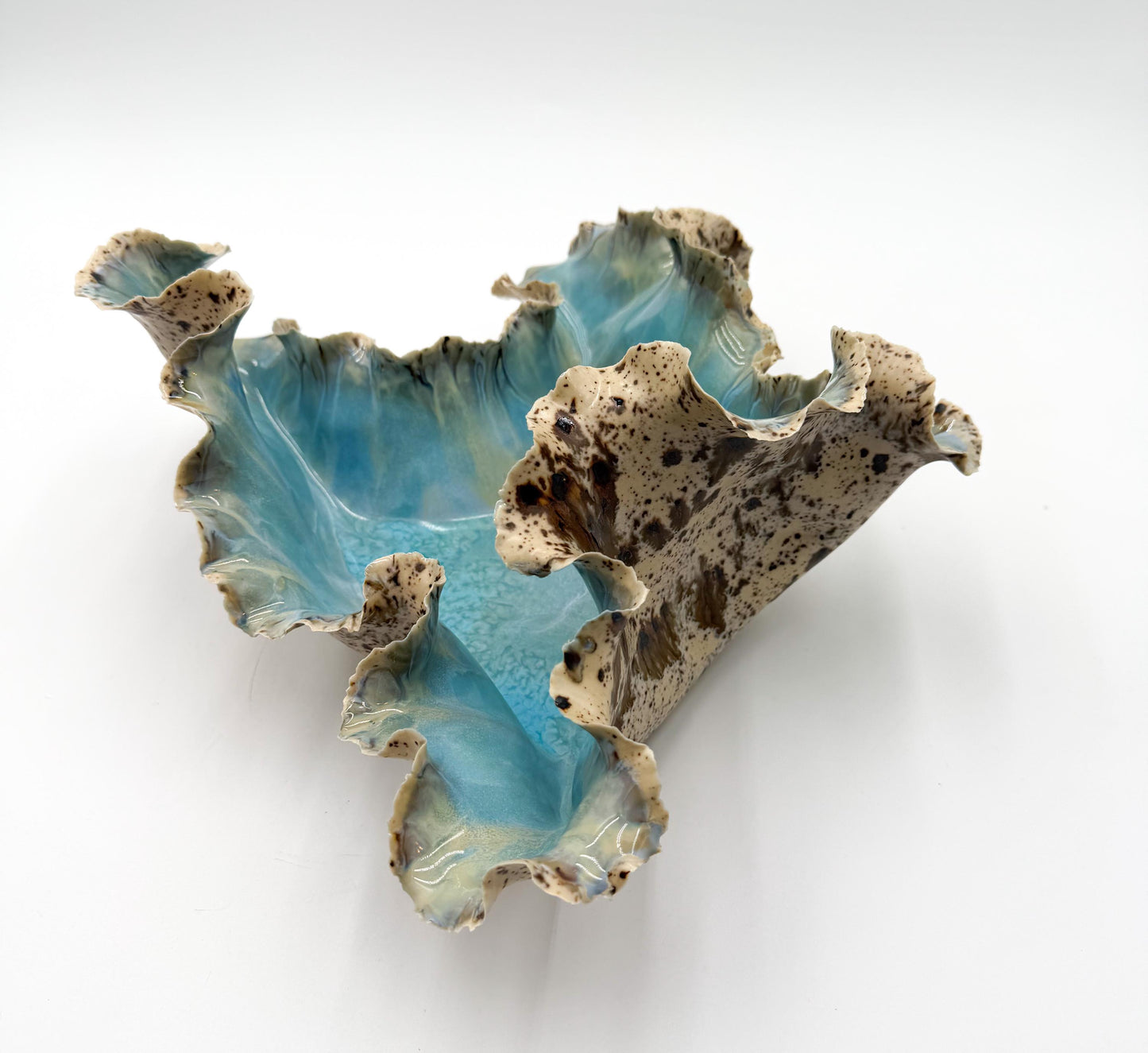 Tideglass Bloom