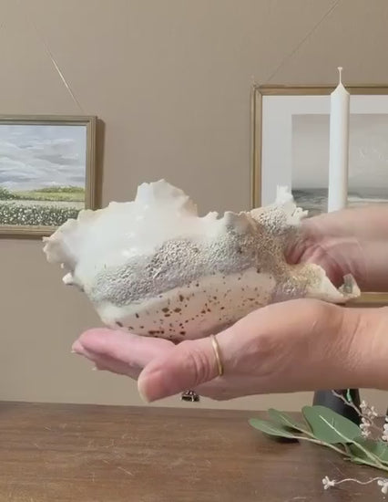 Calcified Current – Hand-Sculpted Porcelain Sculptural Bowl | One-of-a-Kind Ocean-Inspired Ceramic Art