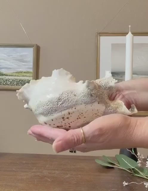 Calcified Current – Hand-Sculpted Porcelain Sculptural Bowl | One-of-a-Kind Ocean-Inspired Ceramic Art